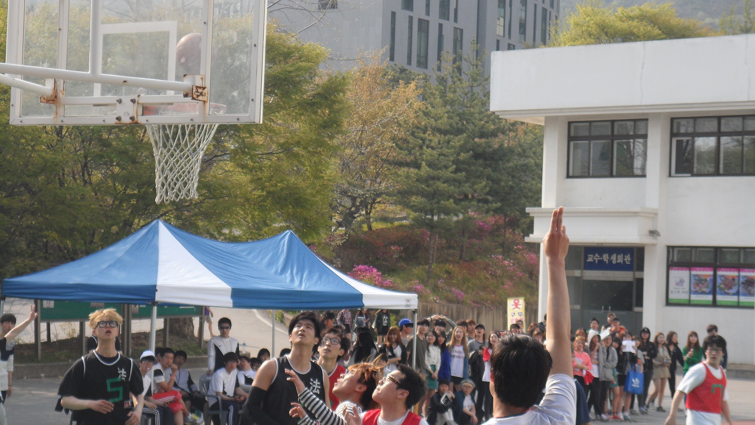 2013 청룡체전 농구 1차 2차 예선