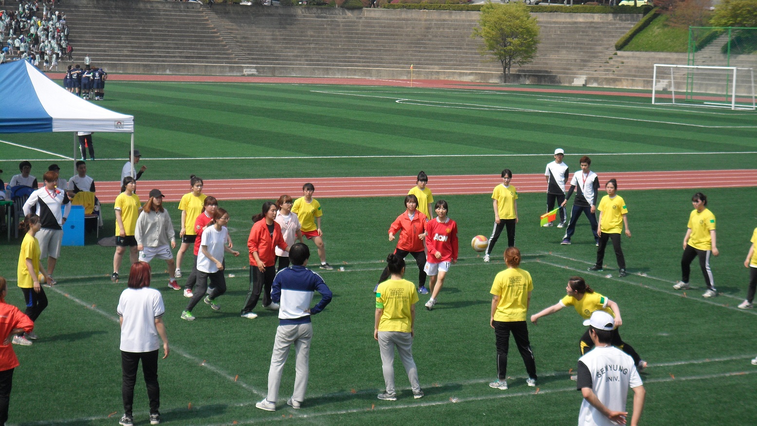 2013 청룡체전 피구 예선 2차